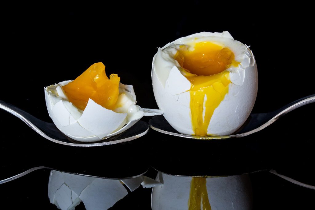 Vajička jsou dokonalým zdrojem bílkovin - Metabolic Balance - hubnutí