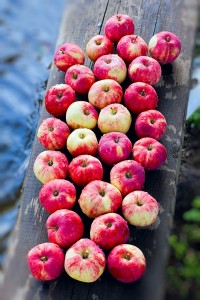 Milujeme jablka v metabolic balance