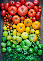 Rajčata v programu Metabolic Balance