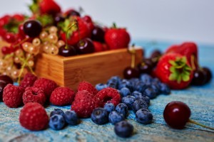 Ovoce v metabolic balance